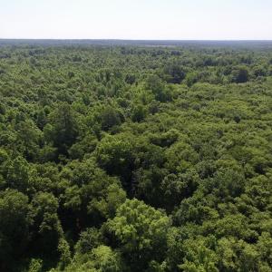 Photo #13 of SOLD property in Off Western Mill Road, Lawrenceville, VA 40.2 acres