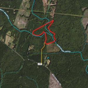Photo #1 of SOLD property in Off Western Mill Road, Lawrenceville, VA 40.2 acres