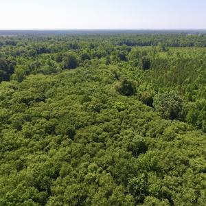 Photo #24 of SOLD property in Off Western Mill Road, Lawrenceville, VA 40.2 acres