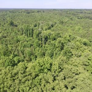 Photo #25 of SOLD property in Off Western Mill Road, Lawrenceville, VA 40.2 acres
