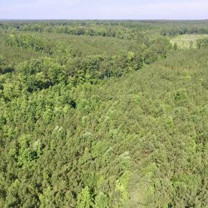 Photo #26 of SOLD property in Off Western Mill Road, Lawrenceville, VA 40.2 acres