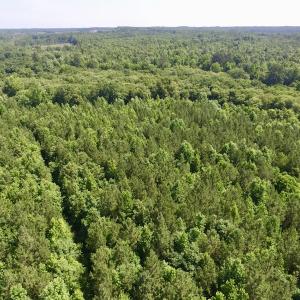 Photo #27 of SOLD property in Off Western Mill Road, Lawrenceville, VA 40.2 acres