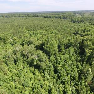 Photo #28 of SOLD property in Off Western Mill Road, Lawrenceville, VA 40.2 acres