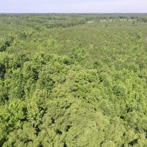 Photo #29 of SOLD property in Off Western Mill Road, Lawrenceville, VA 40.2 acres