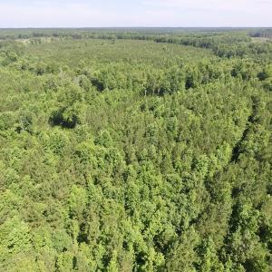 Photo #30 of SOLD property in Off Western Mill Road, Lawrenceville, VA 40.2 acres