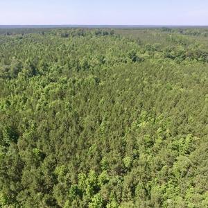 Photo #31 of SOLD property in Off Western Mill Road, Lawrenceville, VA 40.2 acres