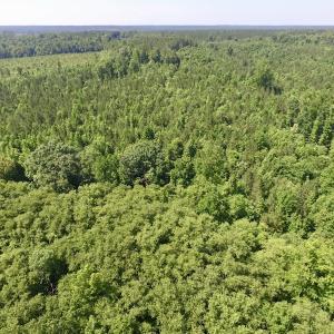 Photo #32 of SOLD property in Off Western Mill Road, Lawrenceville, VA 40.2 acres