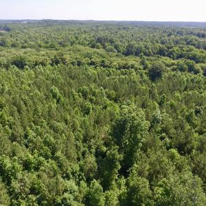 Photo #33 of SOLD property in Off Western Mill Road, Lawrenceville, VA 40.2 acres