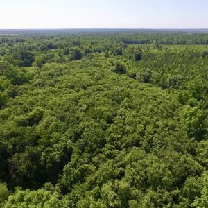 Photo #34 of SOLD property in Off Western Mill Road, Lawrenceville, VA 40.2 acres