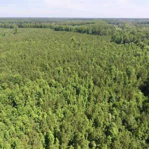 Photo #35 of SOLD property in Off Western Mill Road, Lawrenceville, VA 40.2 acres