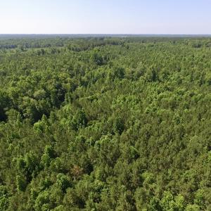 Photo #36 of SOLD property in Off Western Mill Road, Lawrenceville, VA 40.2 acres