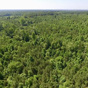Photo #37 of SOLD property in Off Western Mill Road, Lawrenceville, VA 40.2 acres
