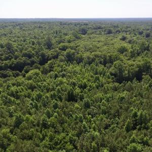 Photo #38 of SOLD property in Off Western Mill Road, Lawrenceville, VA 40.2 acres