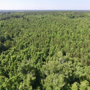 Photo #39 of SOLD property in Off Western Mill Road, Lawrenceville, VA 40.2 acres