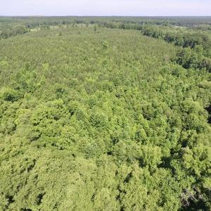 Photo #40 of SOLD property in Off Western Mill Road, Lawrenceville, VA 40.2 acres