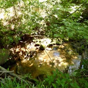 Photo #41 of SOLD property in Off Western Mill Road, Lawrenceville, VA 40.2 acres
