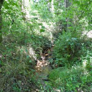 Photo #43 of SOLD property in Off Western Mill Road, Lawrenceville, VA 40.2 acres