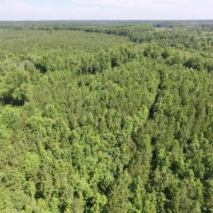 Photo #9 of SOLD property in Off Western Mill Road, Lawrenceville, VA 40.2 acres
