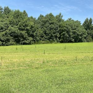 Photo #10 of SOLD property in 1540 Freeman Road, Whaleyville, VA 3.0 acres