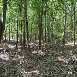Photo #11 of SOLD property in 1540 Freeman Road, Whaleyville, VA 3.0 acres