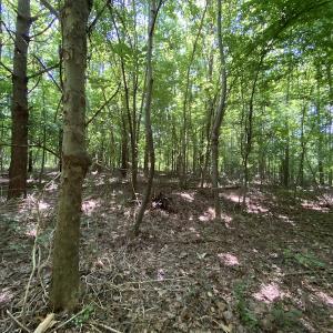 Photo #19 of SOLD property in 1540 Freeman Road, Whaleyville, VA 3.0 acres