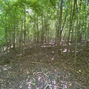 Photo #21 of SOLD property in 1540 Freeman Road, Whaleyville, VA 3.0 acres
