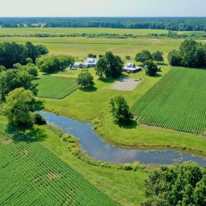 Photo #4 of SOLD property in 311 Yellow Hammer Road, Tyner, NC 74.0 acres