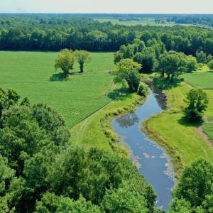Photo #5 of SOLD property in 311 Yellow Hammer Road, Tyner, NC 74.0 acres