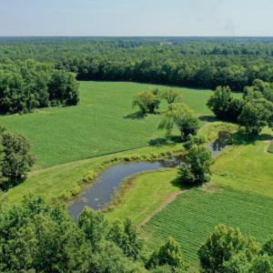 Photo #7 of SOLD property in 311 Yellow Hammer Road, Tyner, NC 74.0 acres