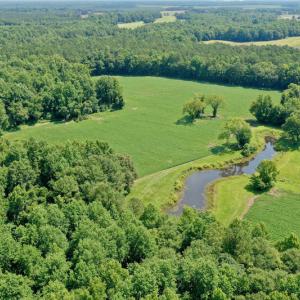 Photo #9 of SOLD property in 311 Yellow Hammer Road, Tyner, NC 74.0 acres