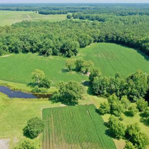 Photo #10 of SOLD property in 311 Yellow Hammer Road, Tyner, NC 74.0 acres