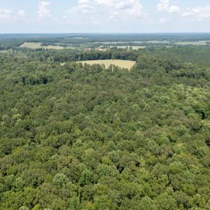 Photo #9 of SOLD property in Off Mt Carmel Road, Carthage, NC 6.3 acres