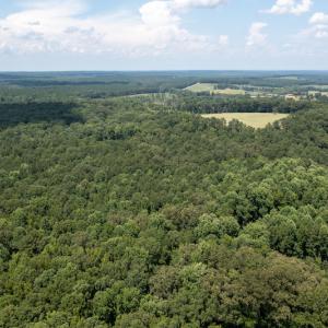 Photo #10 of SOLD property in Off Mt Carmel Road, Carthage, NC 6.3 acres