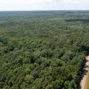 Photo #11 of SOLD property in Off Mt Carmel Road, Carthage, NC 6.3 acres