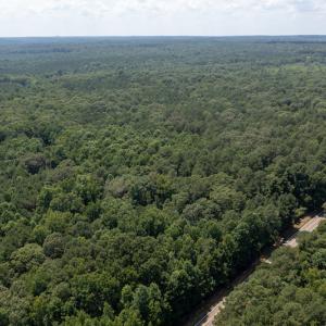 Photo #12 of SOLD property in Off Mt Carmel Road, Carthage, NC 6.3 acres