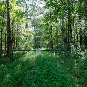 Photo #21 of SOLD property in Off Mt Carmel Road, Carthage, NC 6.3 acres