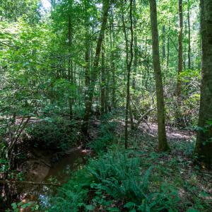 Photo #31 of SOLD property in Off Mt Carmel Road, Carthage, NC 6.3 acres