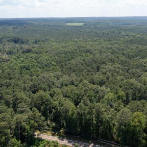 Photo #3 of SOLD property in Off Mt Carmel Road, Carthage, NC 6.3 acres