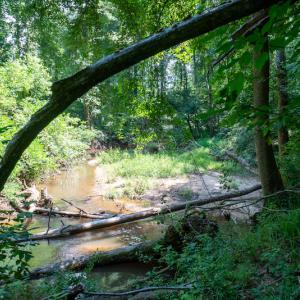 Photo #37 of SOLD property in Off Mt Carmel Road, Carthage, NC 6.3 acres