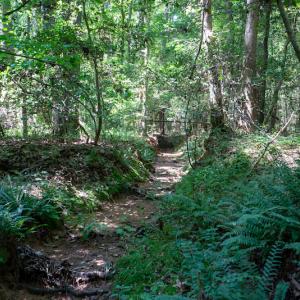 Photo #40 of SOLD property in Off Mt Carmel Road, Carthage, NC 6.3 acres