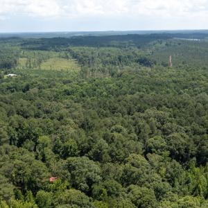 Photo #5 of SOLD property in Off Mt Carmel Road, Carthage, NC 6.3 acres