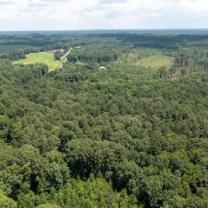Photo #6 of SOLD property in Off Mt Carmel Road, Carthage, NC 6.3 acres
