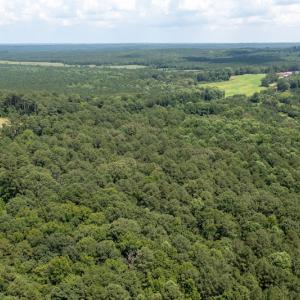Photo #7 of SOLD property in Off Mt Carmel Road, Carthage, NC 6.3 acres