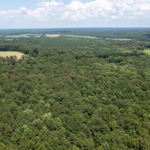 Photo #8 of SOLD property in Off Mt Carmel Road, Carthage, NC 6.3 acres