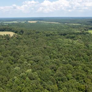 Photo #8 of SOLD property in Off Mt Carmel Road, Carthage, NC 6.3 acres