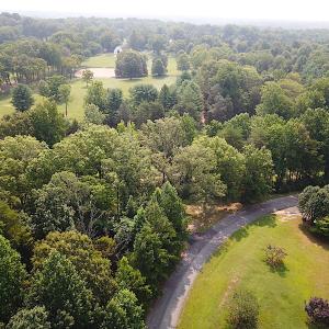 Photo #9 of SOLD property in Lot 69 Point Drive, Bumpass, VA 1.2 acres