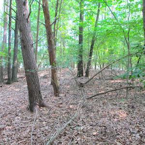 Photo #17 of SOLD property in Lot 69 Point Drive, Bumpass, VA 1.2 acres