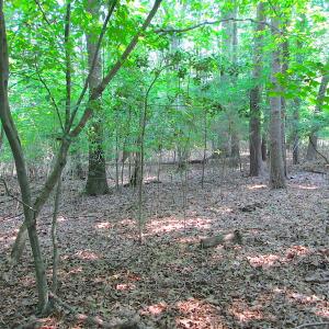 Photo #20 of SOLD property in Lot 69 Point Drive, Bumpass, VA 1.2 acres