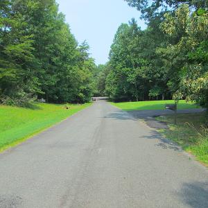 Photo #23 of SOLD property in Lot 69 Point Drive, Bumpass, VA 1.2 acres
