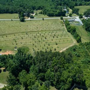 Photo #15 of Old NC Hwy 86N, Yanceyville, NC 32.1 acres